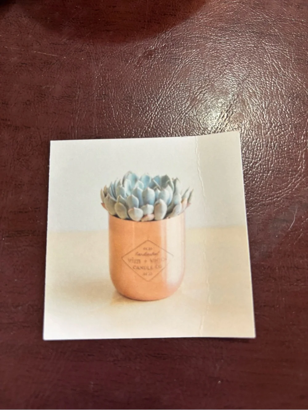 Vim + Vigor Candle Co No.176 Cactus Flower Desert Sage Copper Soy Candle NIB